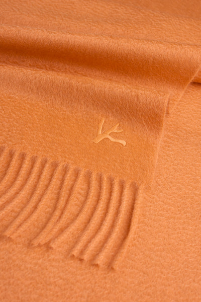 SC0096_000_Z0073_241-media-2